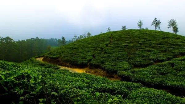 Coorg Tour Packages