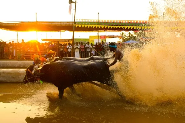 Mangalore Tour Package