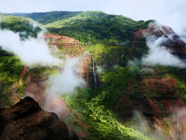 Wayanad Tour Packages